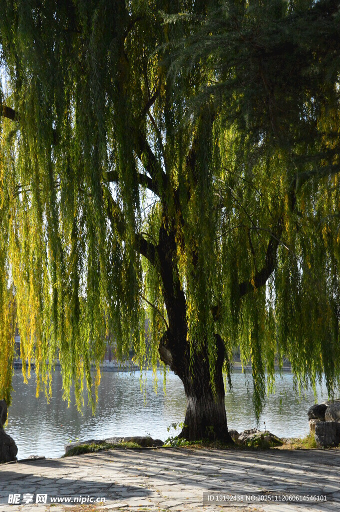 公园风景 