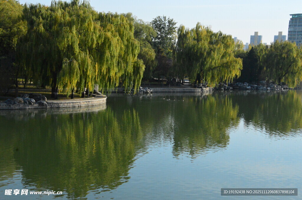 公园风景 