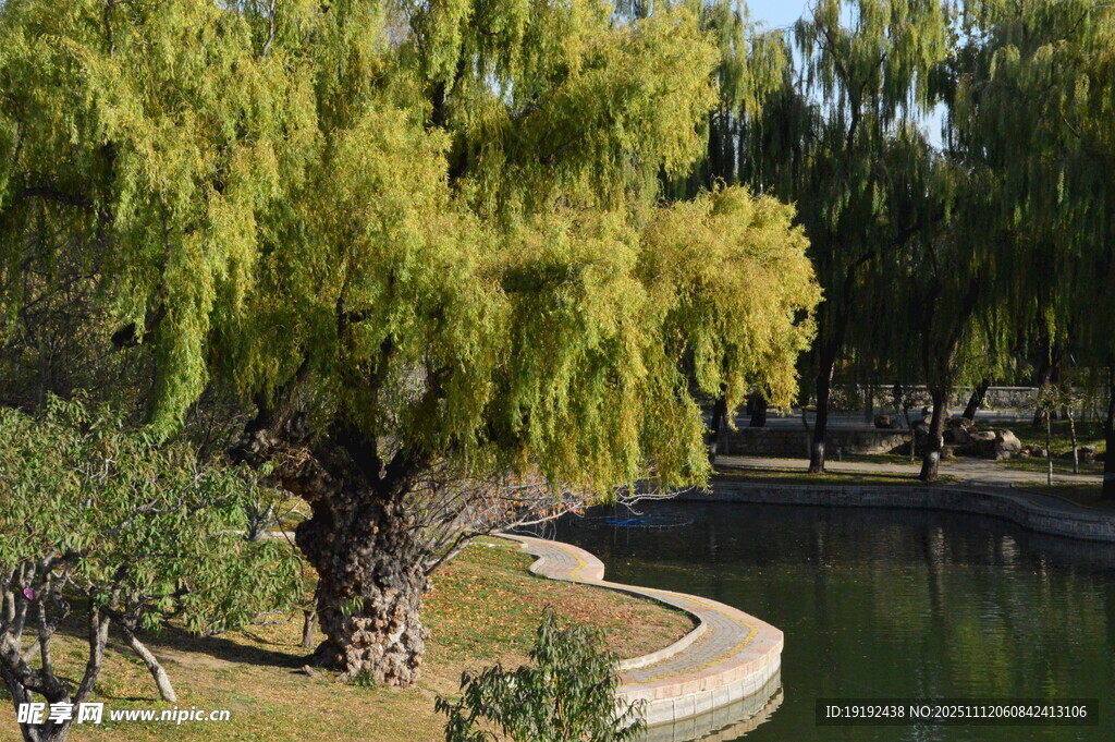 公园风景  
