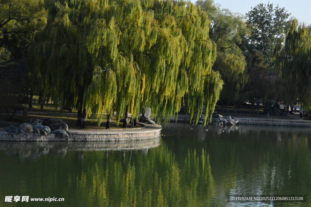 公园风景  