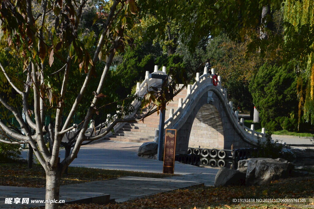 公园风景  