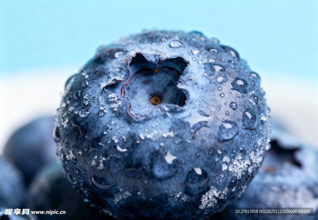 蓝莓特写