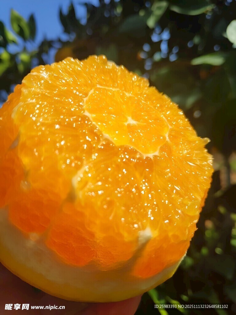 橙子