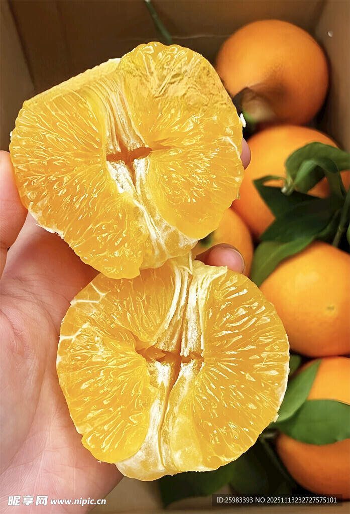 橙子