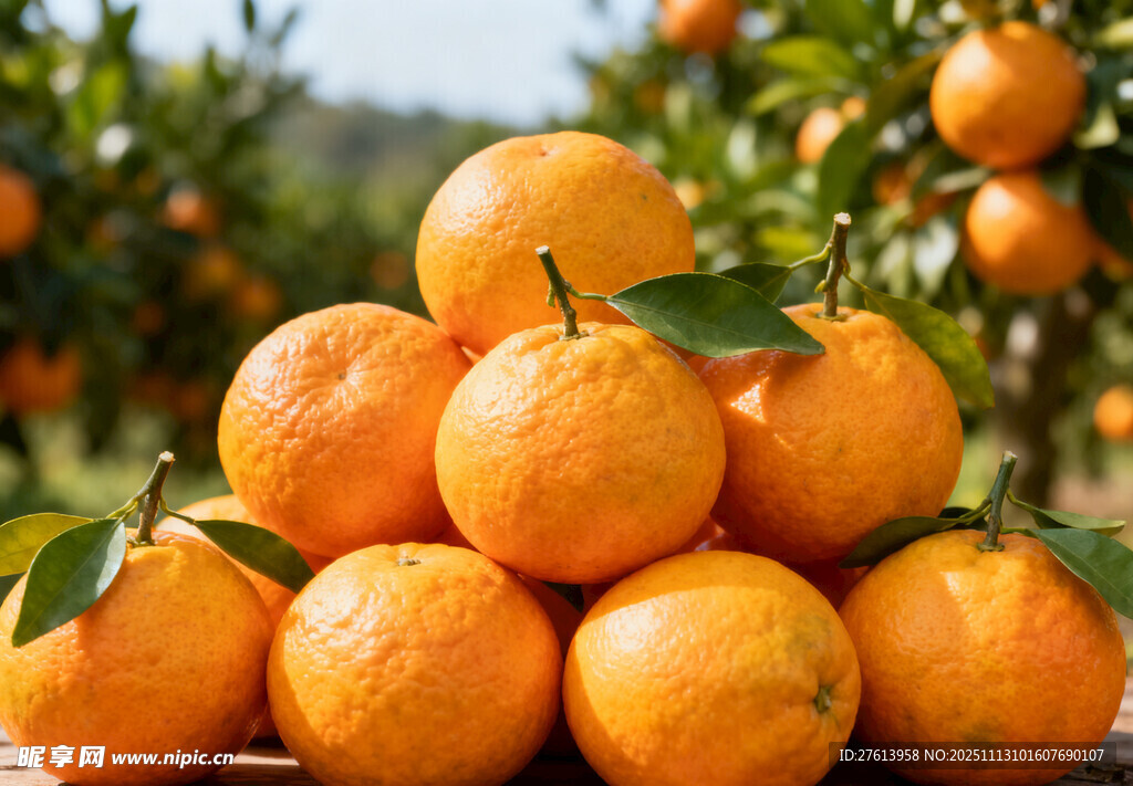 一堆成熟柑橘