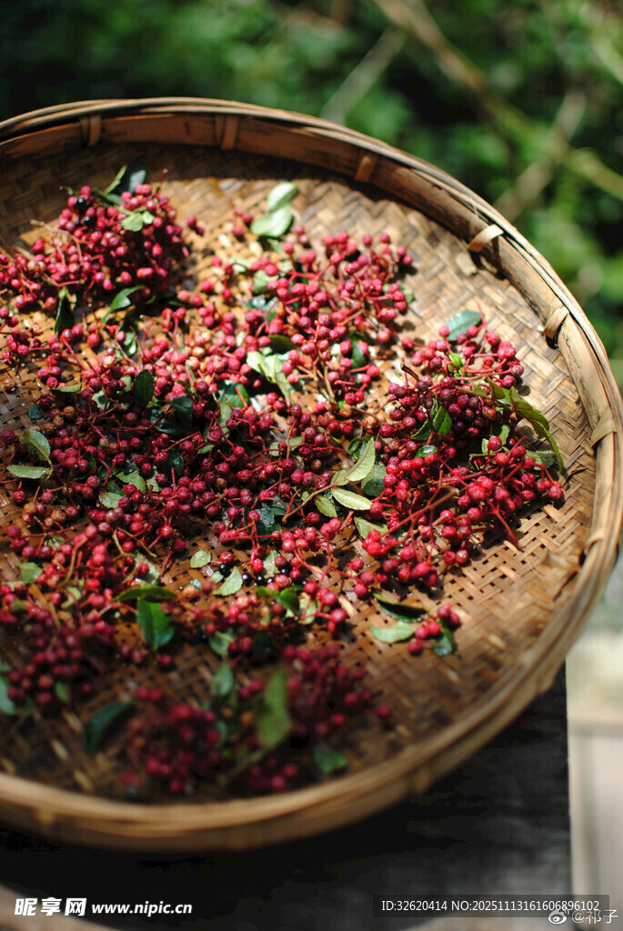 新鲜花椒