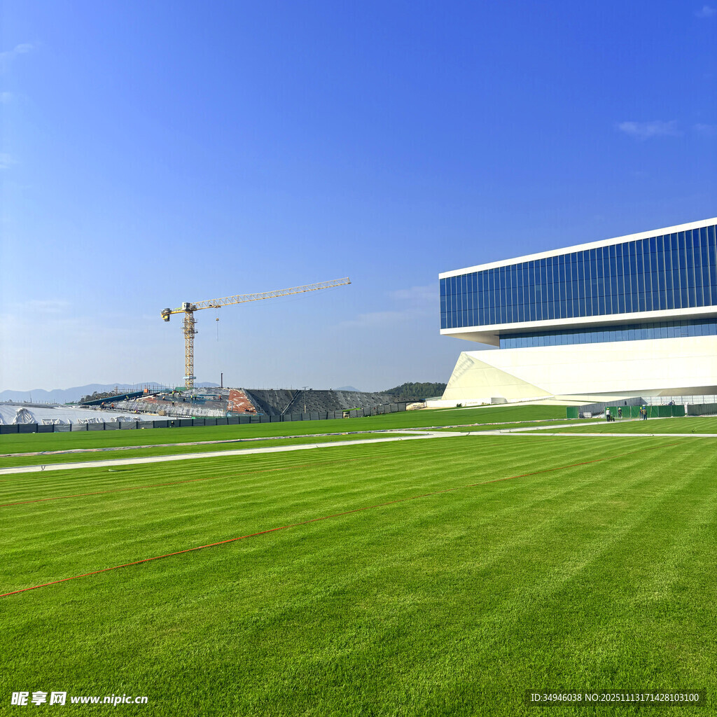 现代建筑旁的翠绿草坪