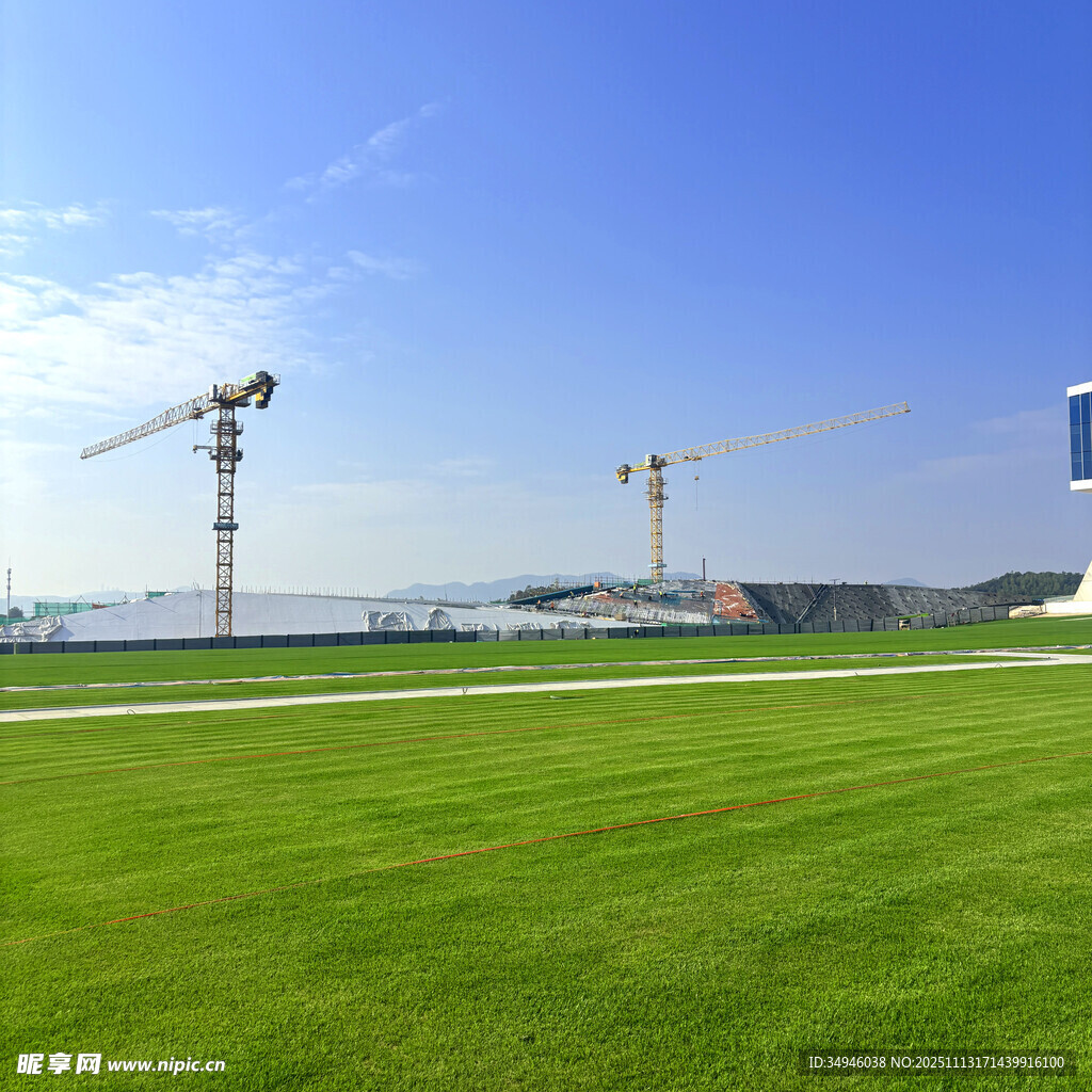 绿草如茵处的工地起重机