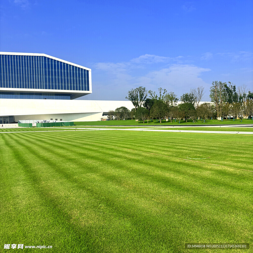 现代建筑旁的翠绿草坪