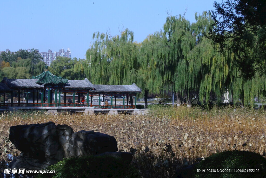 公园风景  