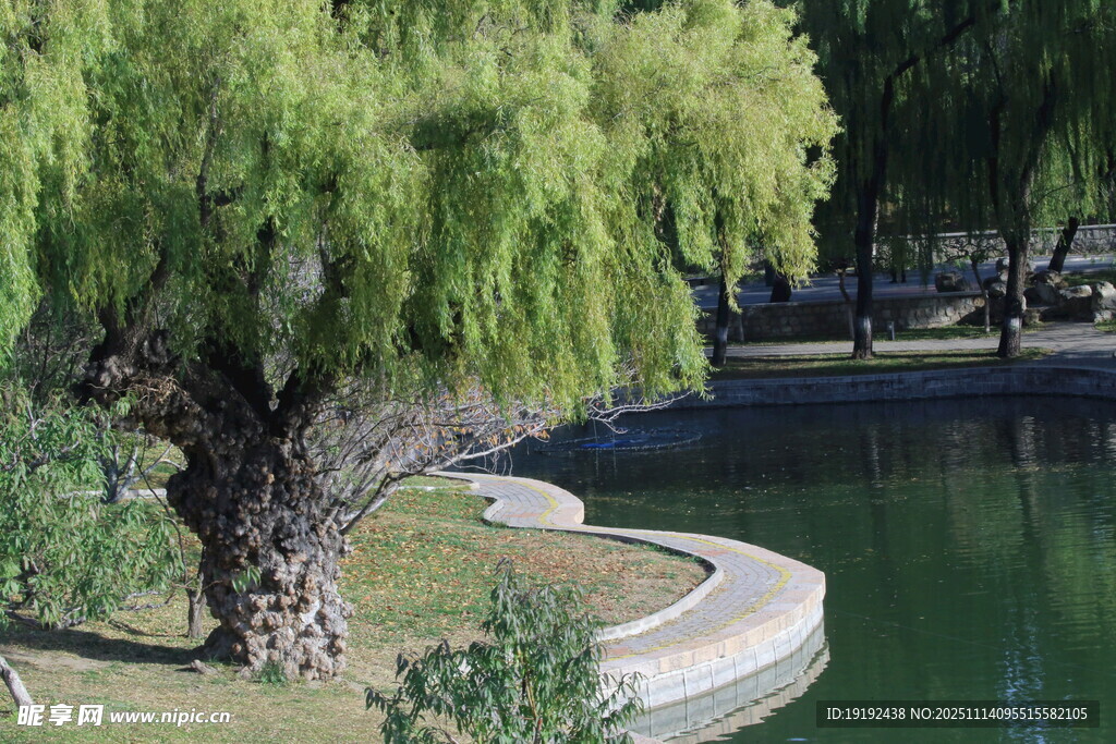 公园风景  