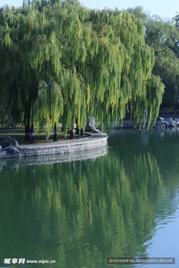 公园风景 