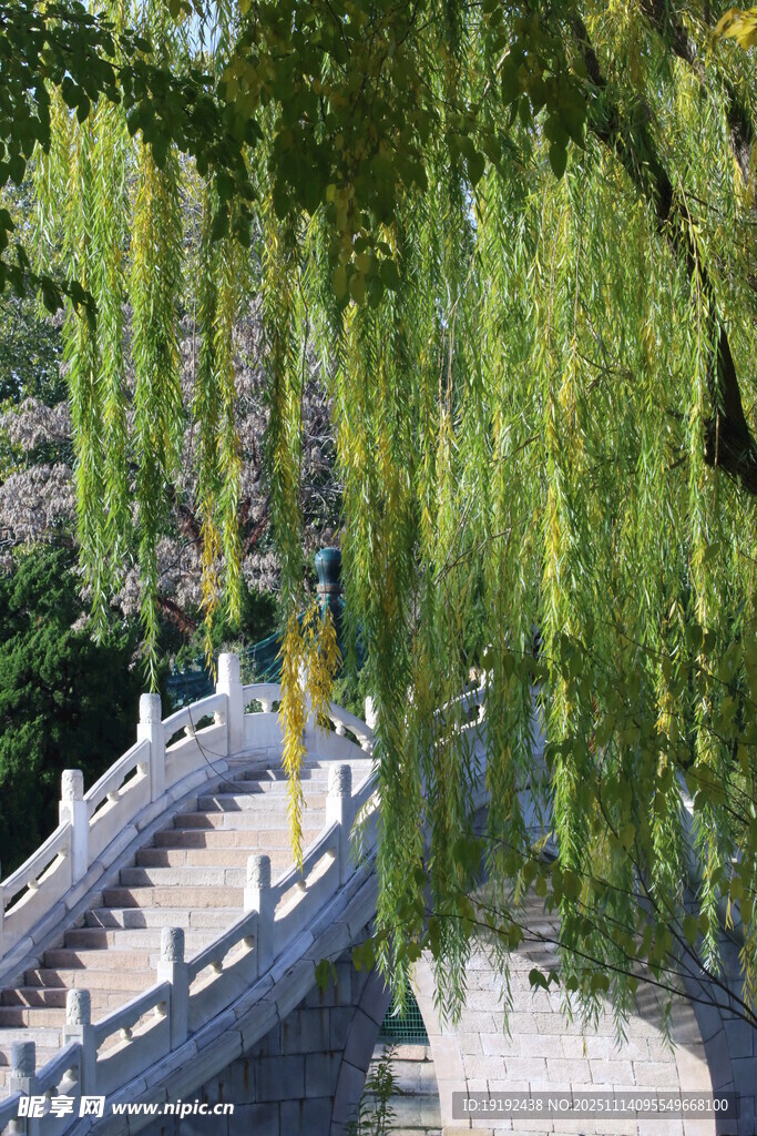 公园风景  