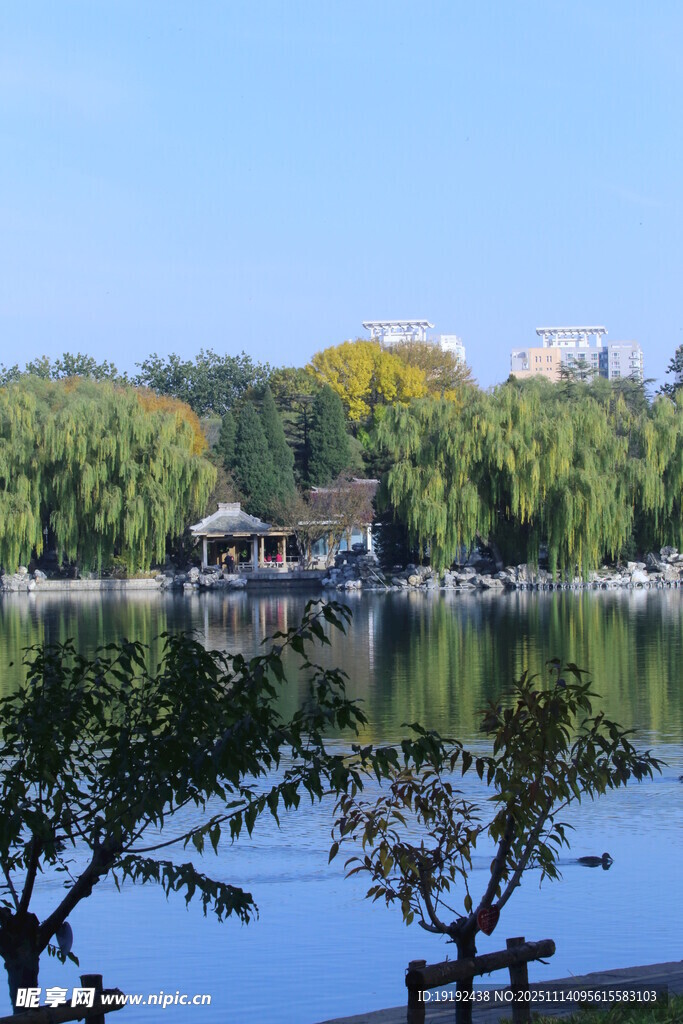 公园风景 