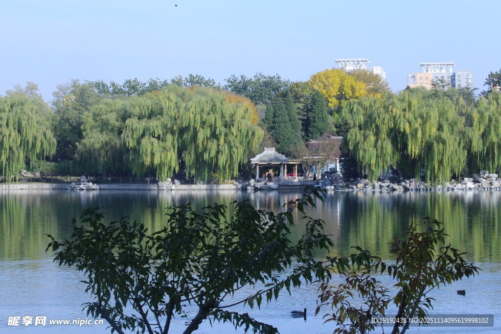 龙潭湖风景  