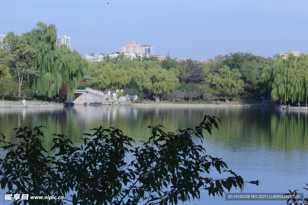 公园风景 