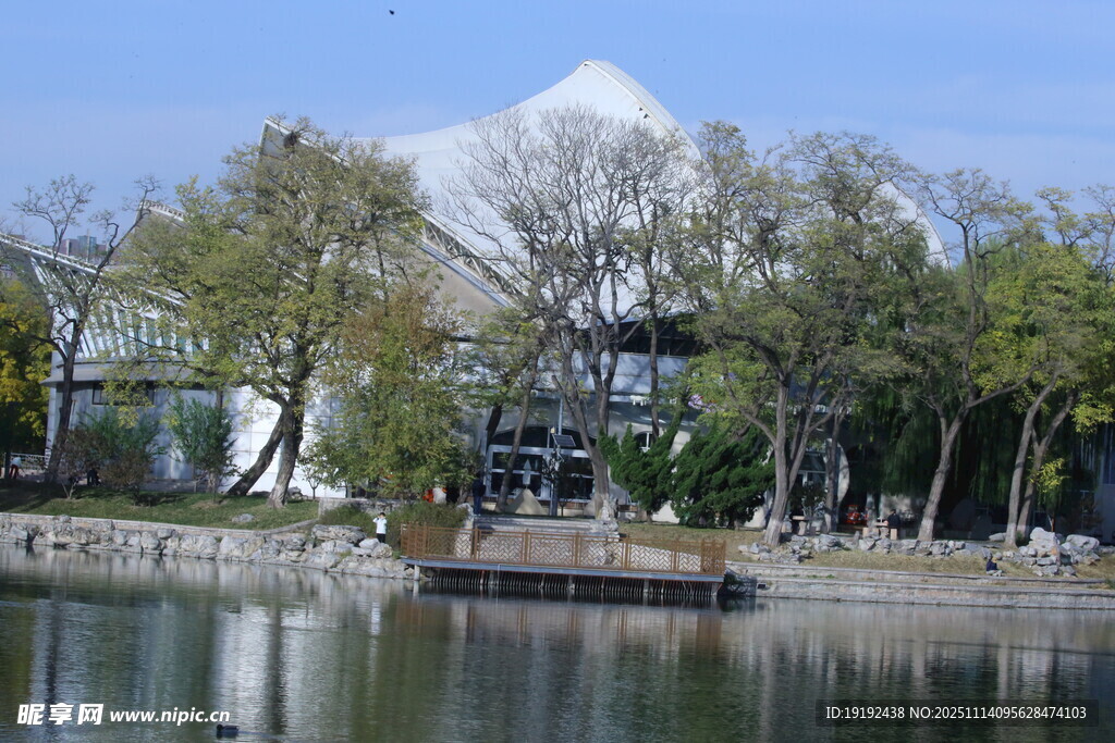公园风景  