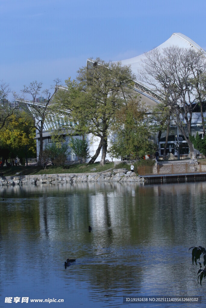 龙潭湖风景 