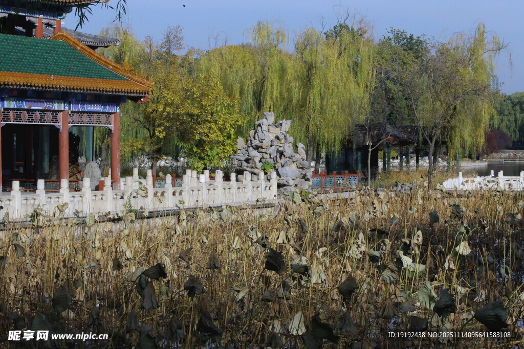 公园风景  