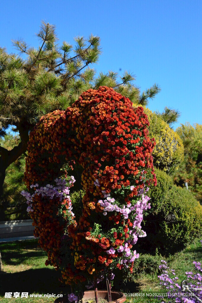 公园风景 