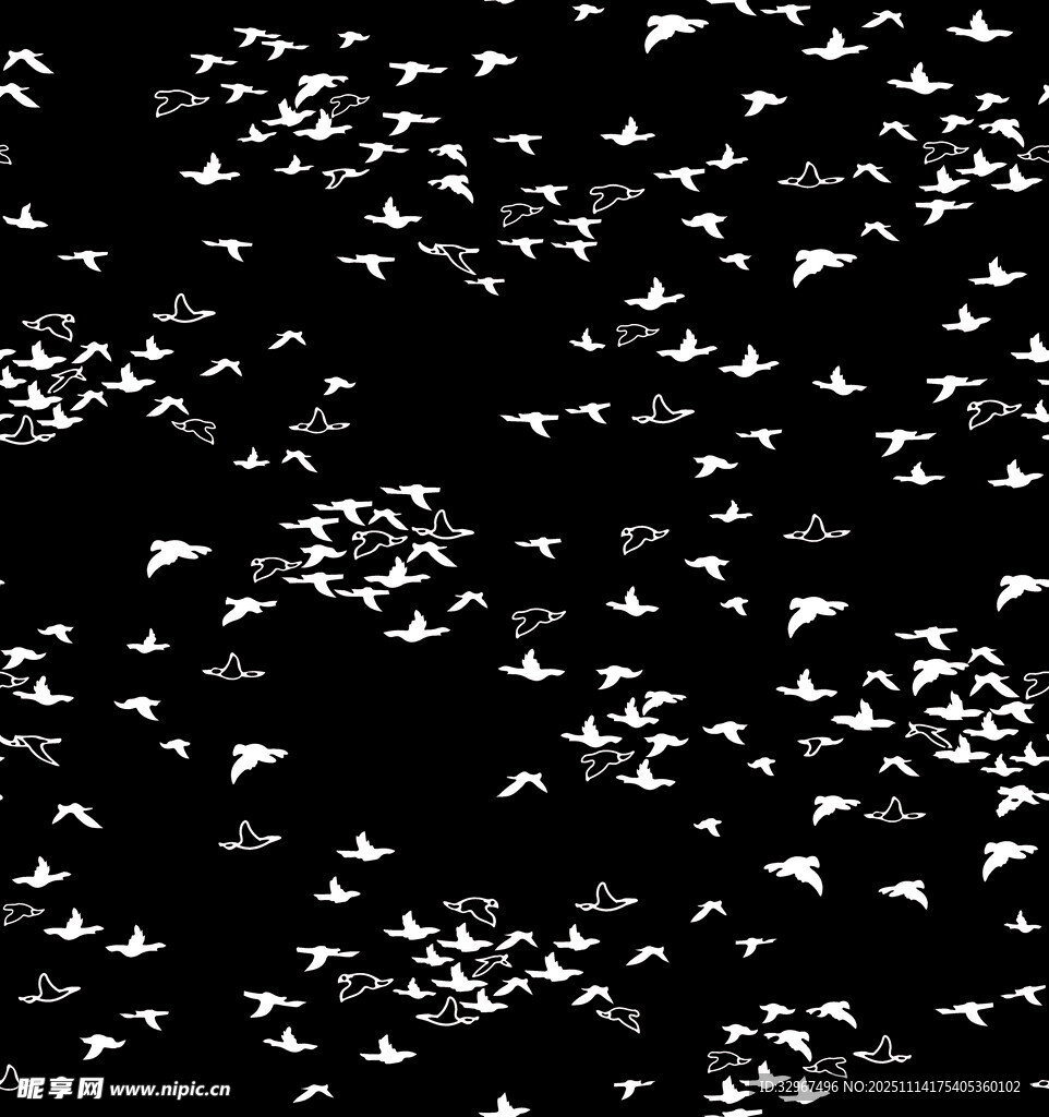 群鸟 黑白 画面 飞鸟