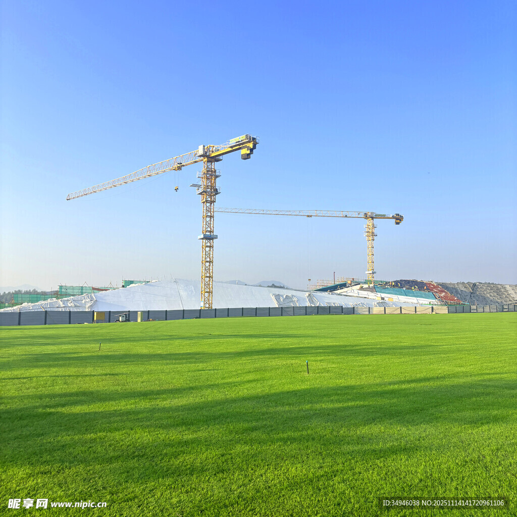 绿地上的塔式起重机