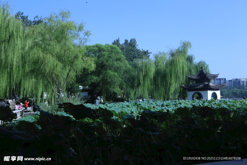 公园风景  