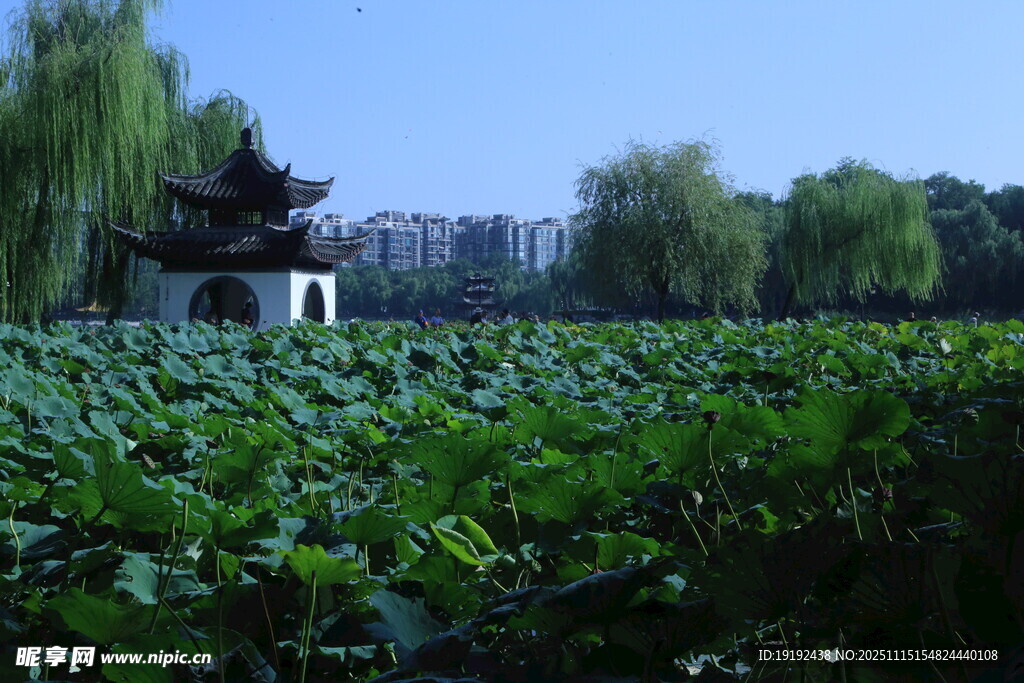 公园风景 