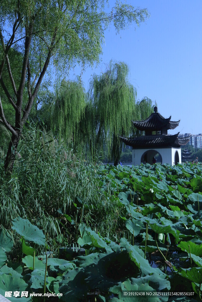 公园风景 