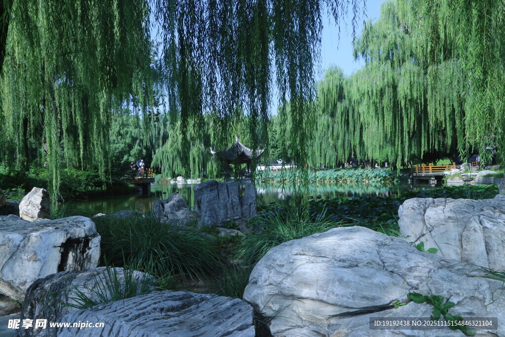 公园风景  
