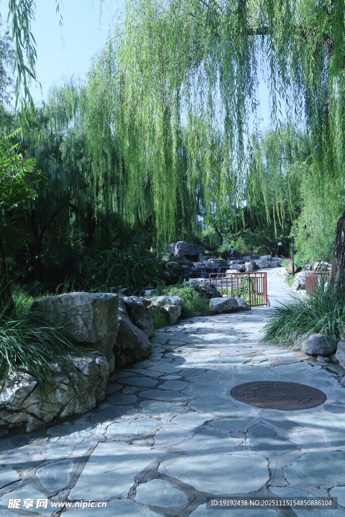 公园风景  