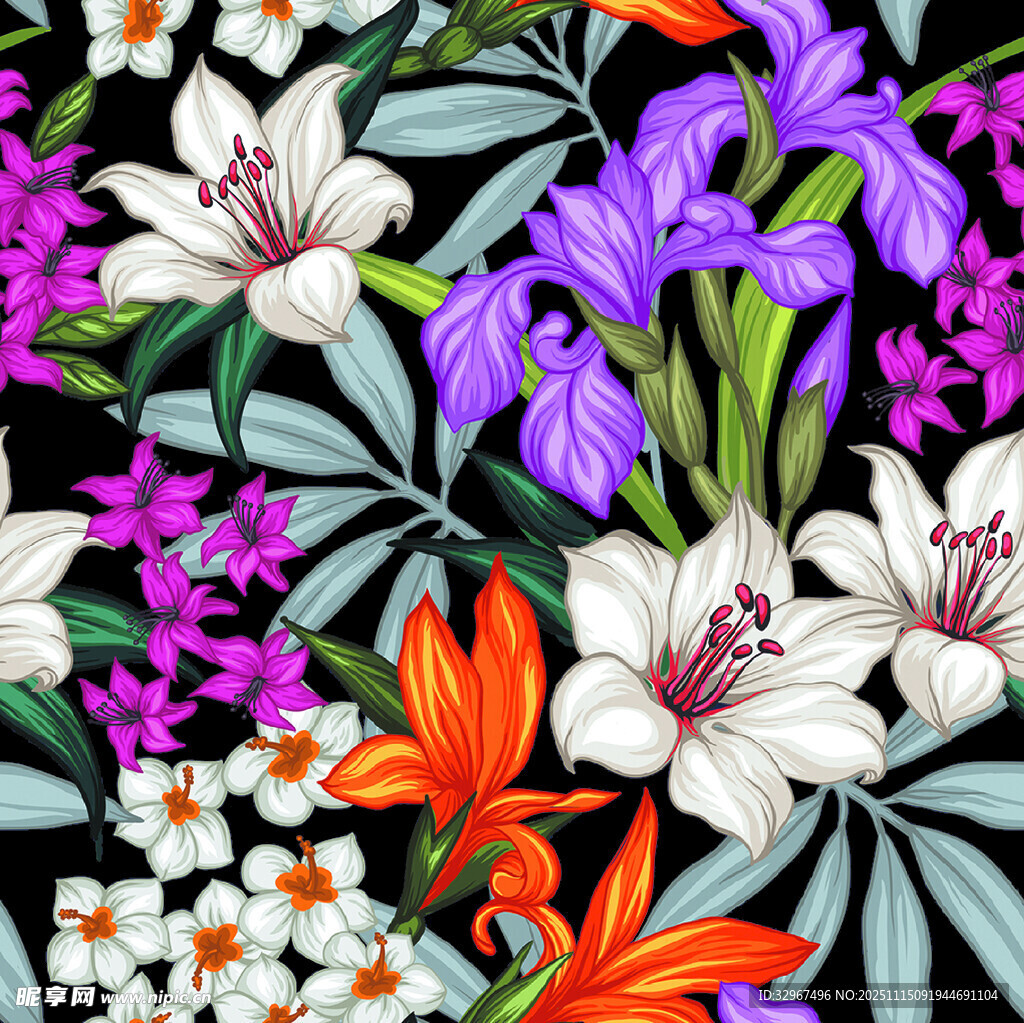 花卉 百合 线条 层次