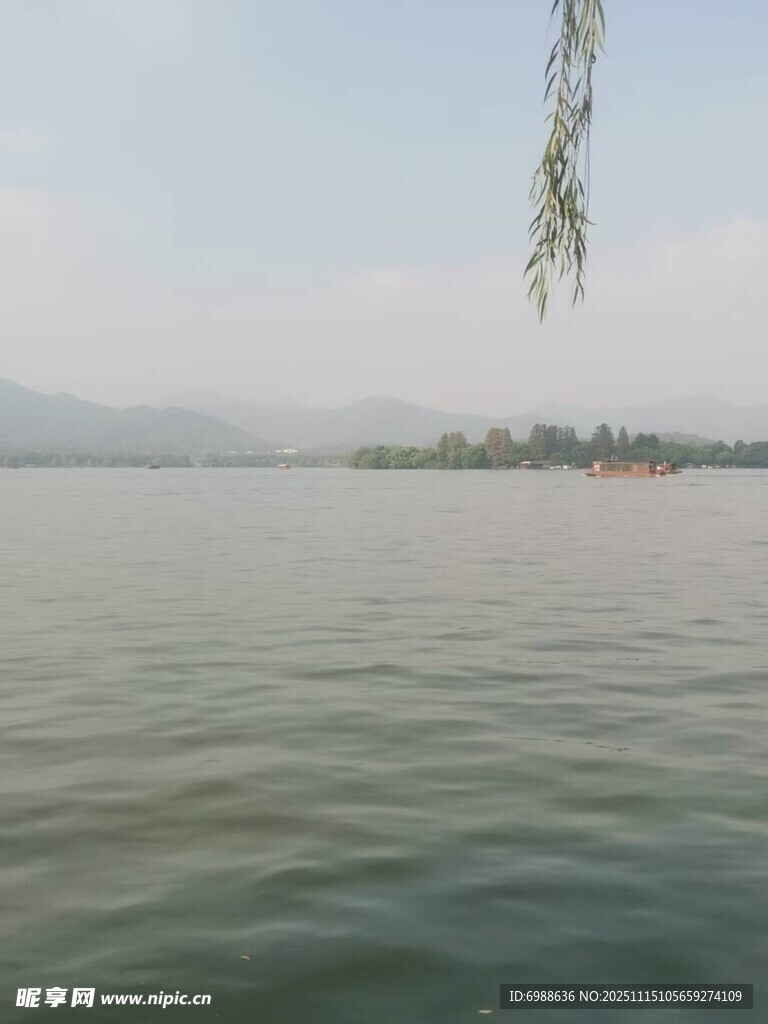 湖畔垂柳碧波浩渺之景