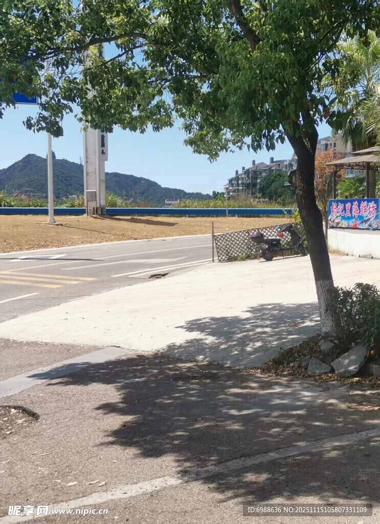 路边树荫下的宁静景致