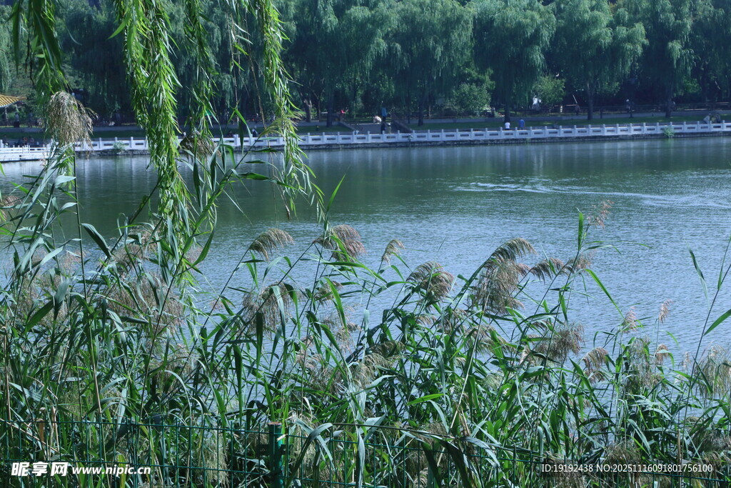 陶然亭风景 
