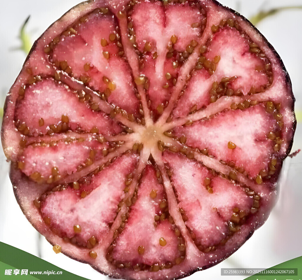 红果参