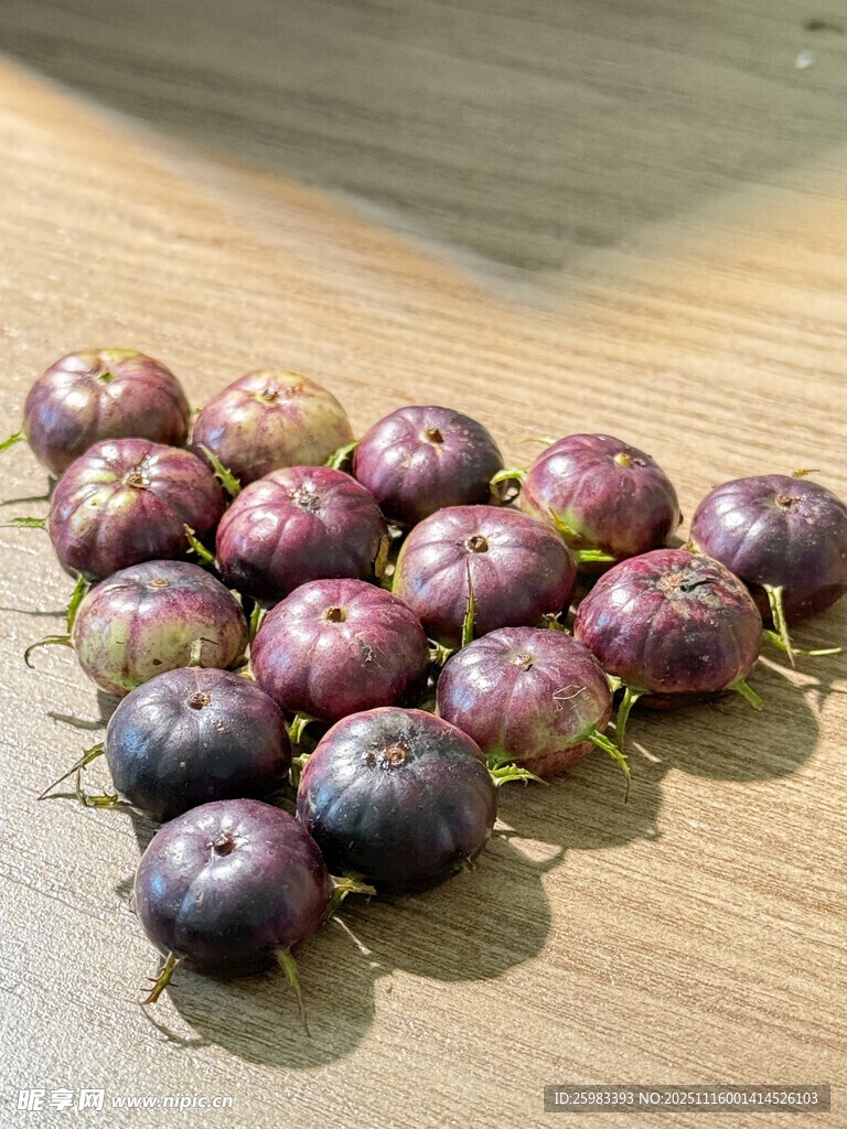 红果参
