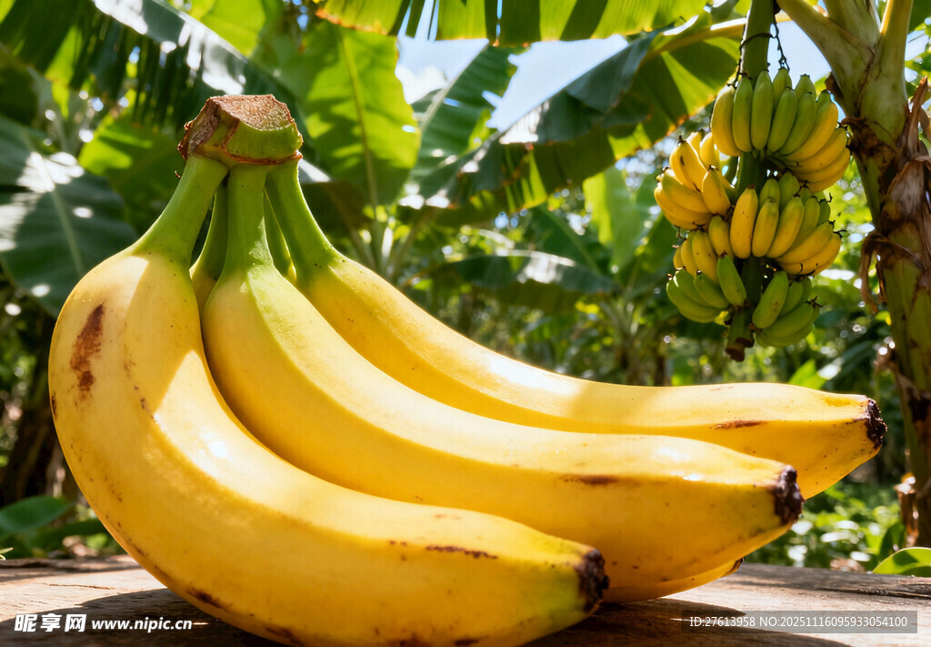 成熟的香蕉