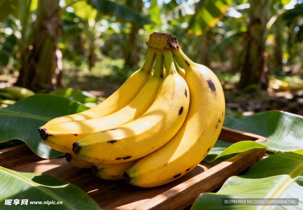 木盘上的金黄香蕉
