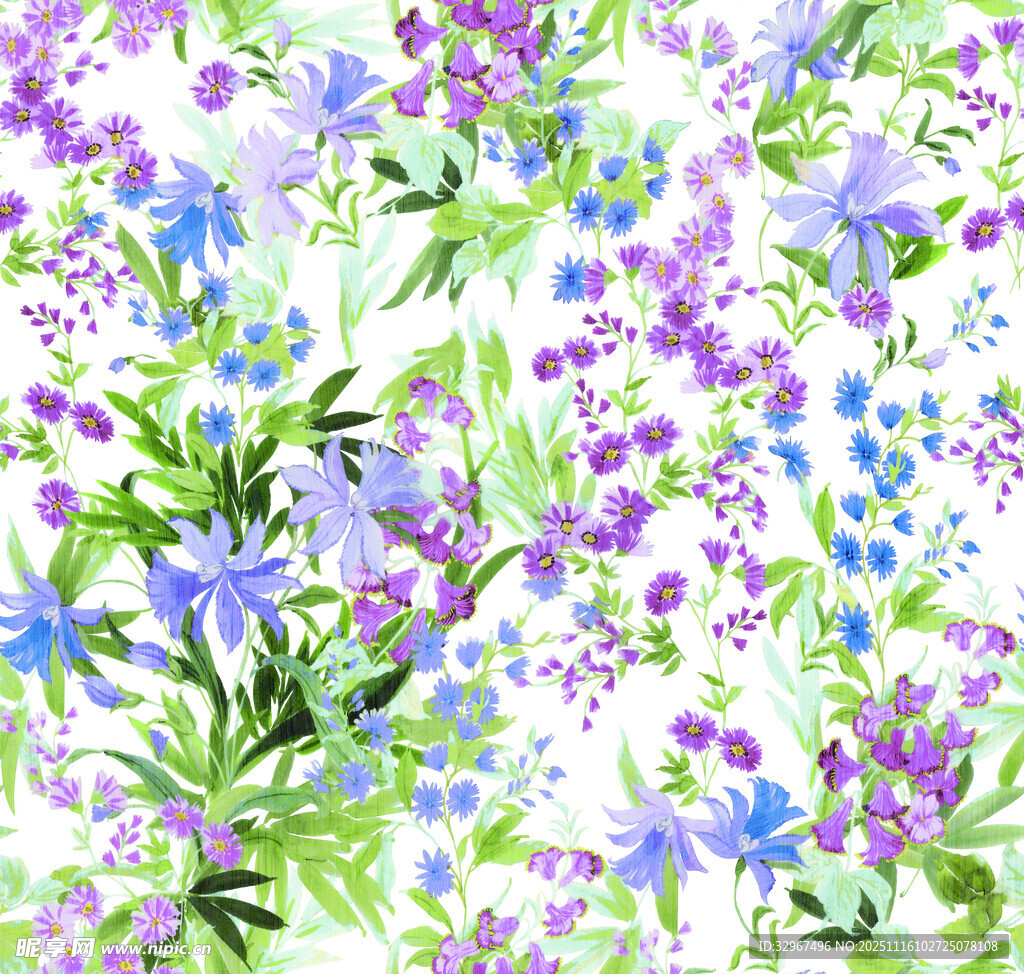 清新 花卉 紫色 