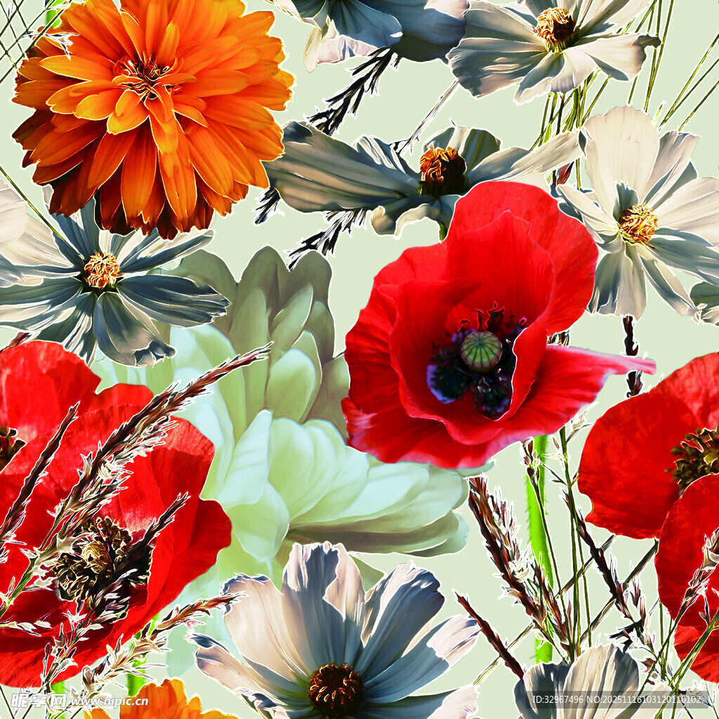 大花 红花 色彩