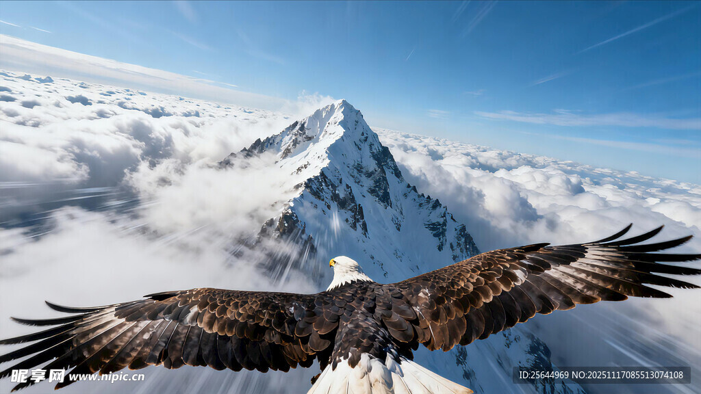 雄鹰翱翔于雪山云海之上