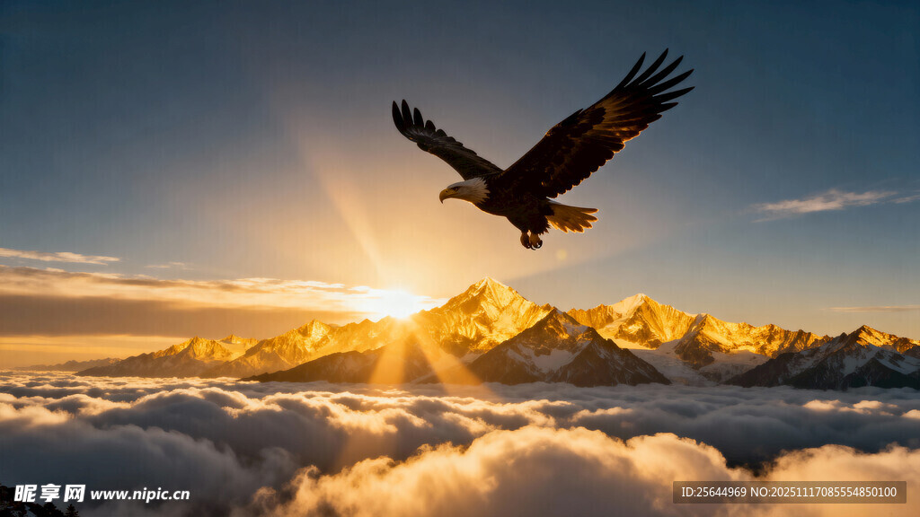 雄鹰破晓翱翔云海之上