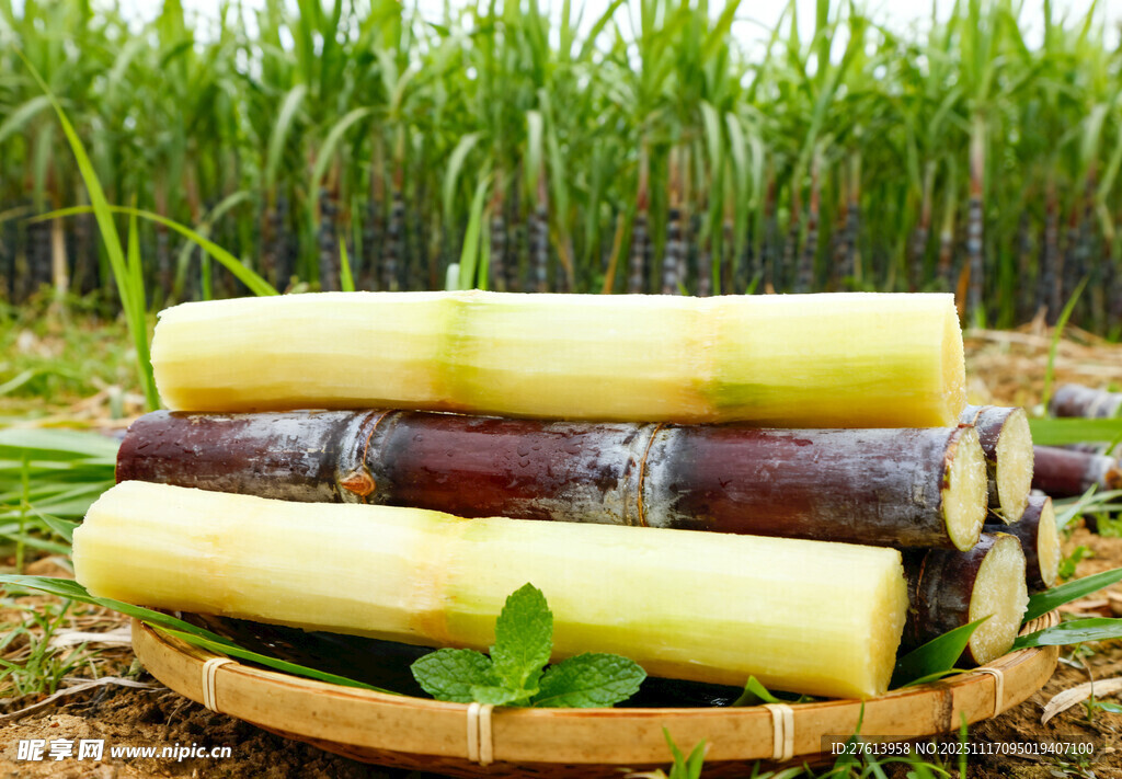 甘蔗摆放在竹篮中