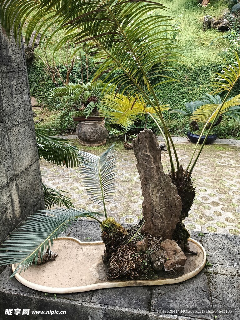 精致盆栽景观