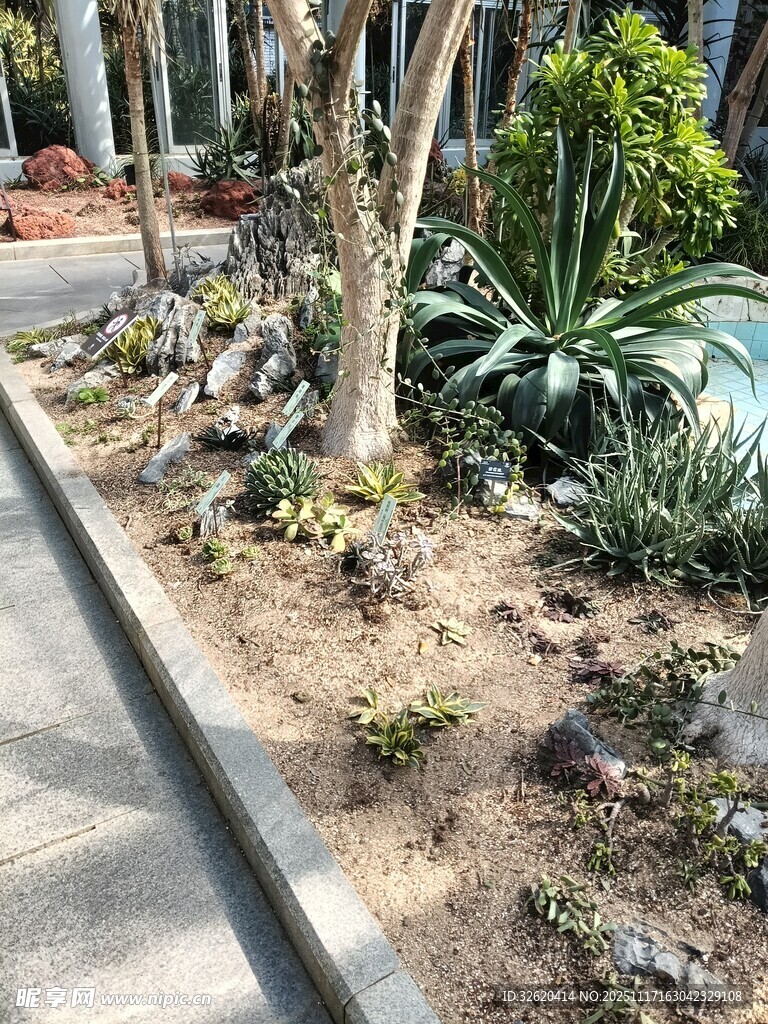 路边绿植景观