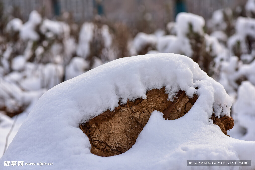 雪覆石块
