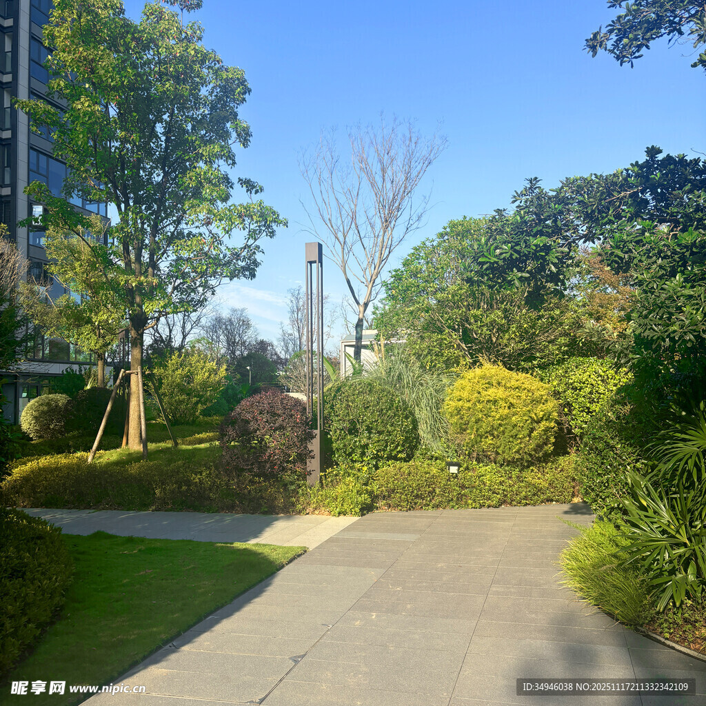 阳光明媚的园林景观小径