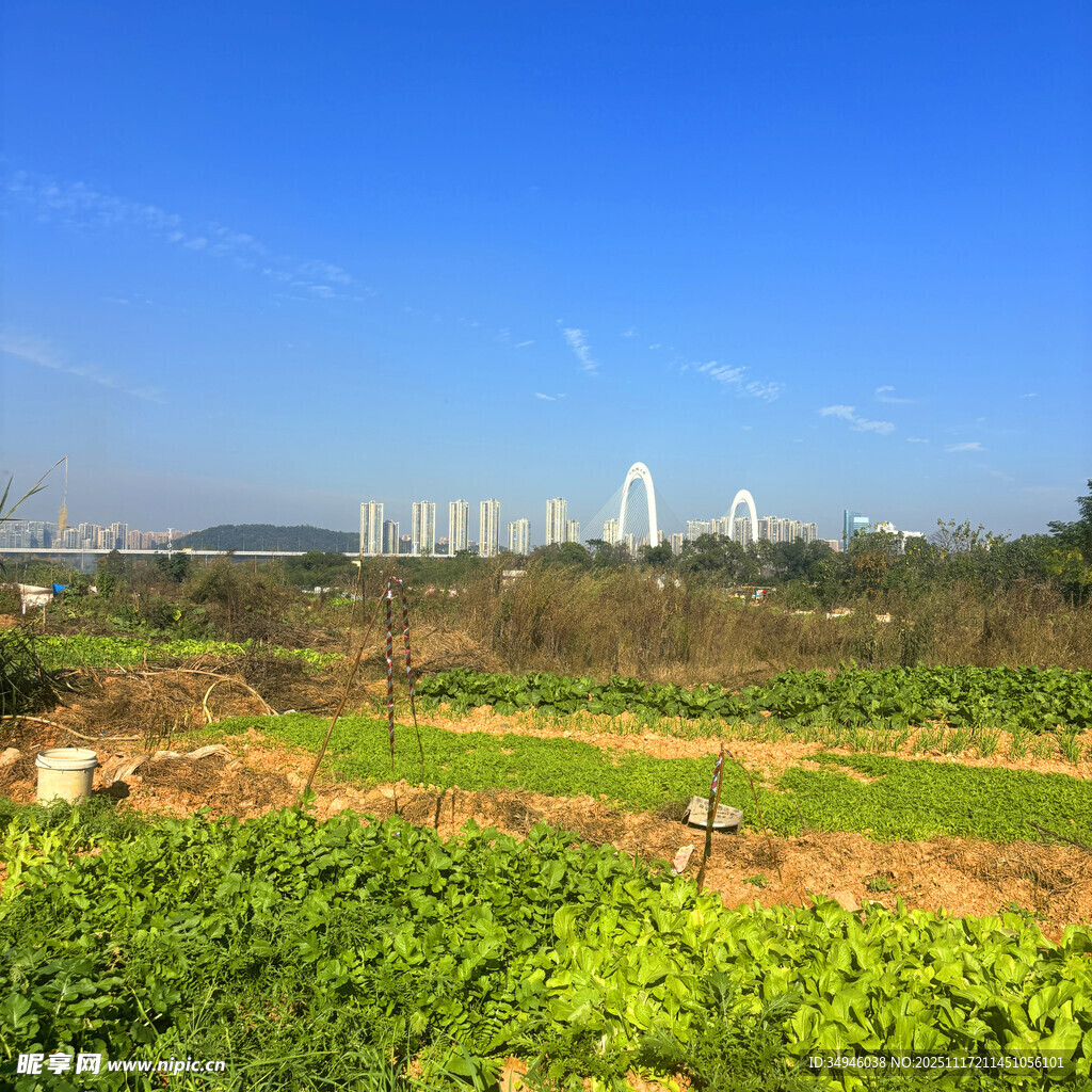 城郊田园风光与远处城市景