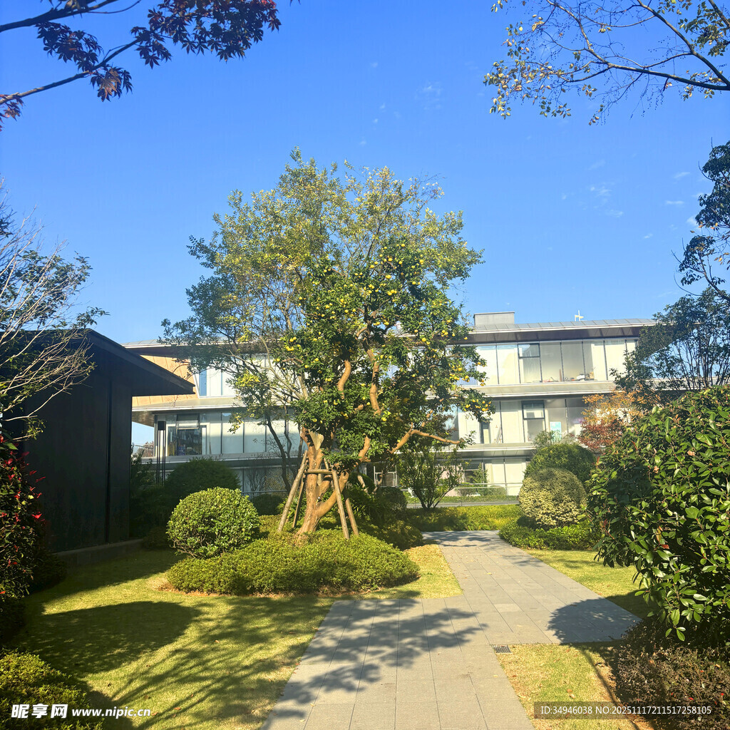 庭院绿植环绕的现代建筑